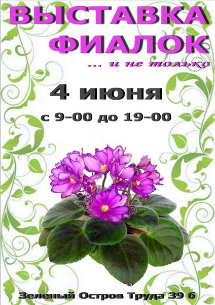 Выставка фиалок, Магнитогорск, 4 июня 2016. Приходите, будем рады!