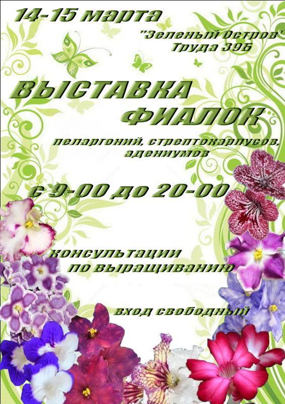 Выставка фиалок в Магнитогорске