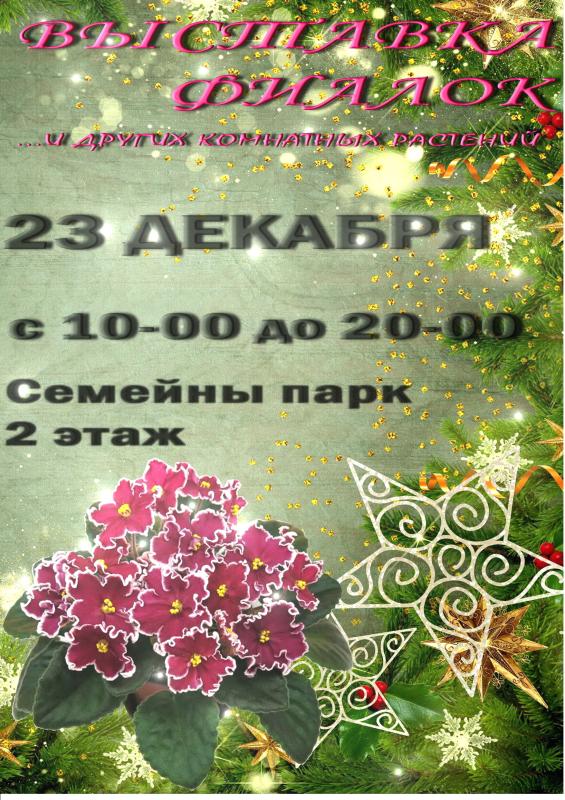 Новогодняя Выставка фиалок! В ТК Семейный Парк!