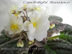 Candlelight  Romance (LLG)