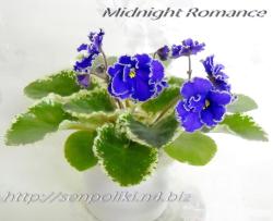Midnight Romance (S. Sorano)